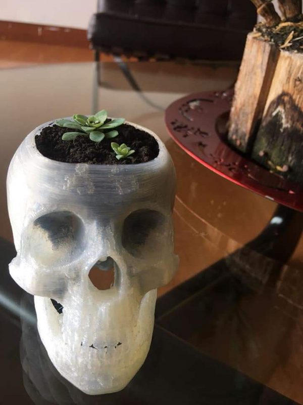 calavera maceta porta lapices